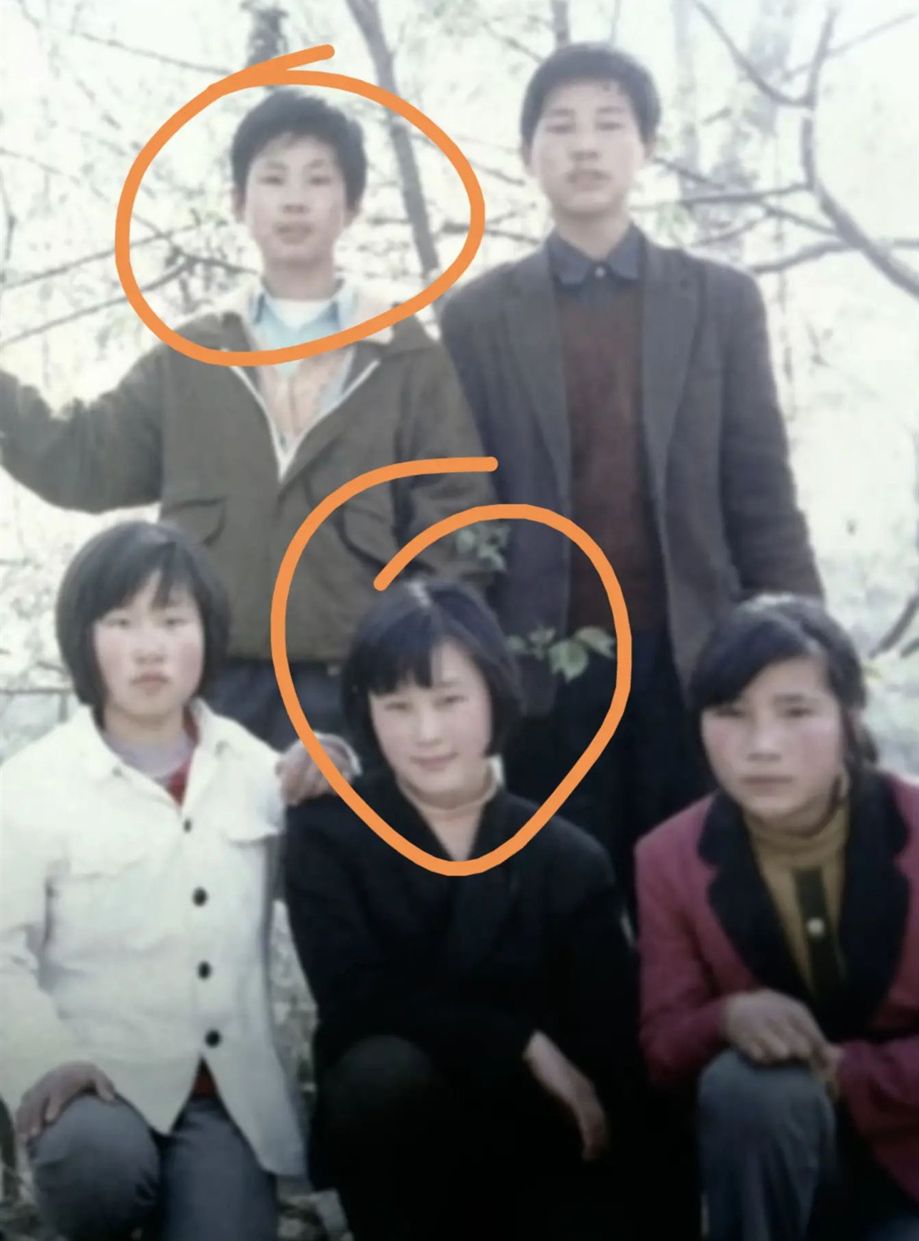 二百者也和三百者也到底谁抄袭了谁 二百者也和三百者也到底谁抄袭了谁