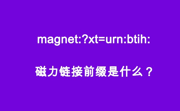 迅雷磁力链接前缀是什么?magnet:?xt=urn:btih:使用方法