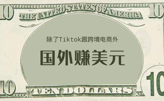 除了Tiktok跟跨境电商,还有哪些赚美元项目