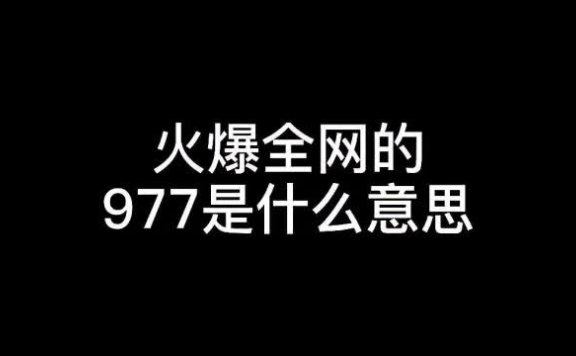 977是什么意思,抖音977数字网络用语的含义