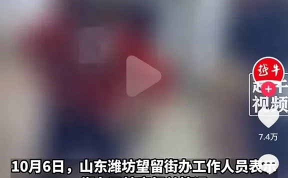 全网热瓜!潍坊村书记与女主任忘关镜头致不雅视频流出